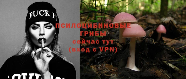 ПСИЛОЦИБИНОВЫЕ ГРИБЫ Иннополис
