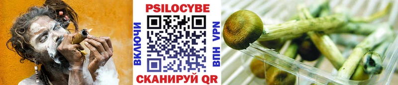 Псилоцибиновые грибы GOLDEN TEACHER продажа наркотиков Долгопрудный