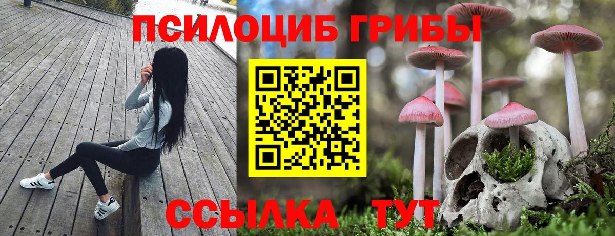 Долгопрудный  Галлюциногенные грибы Psilocybine cubensis  Вход с VPN 