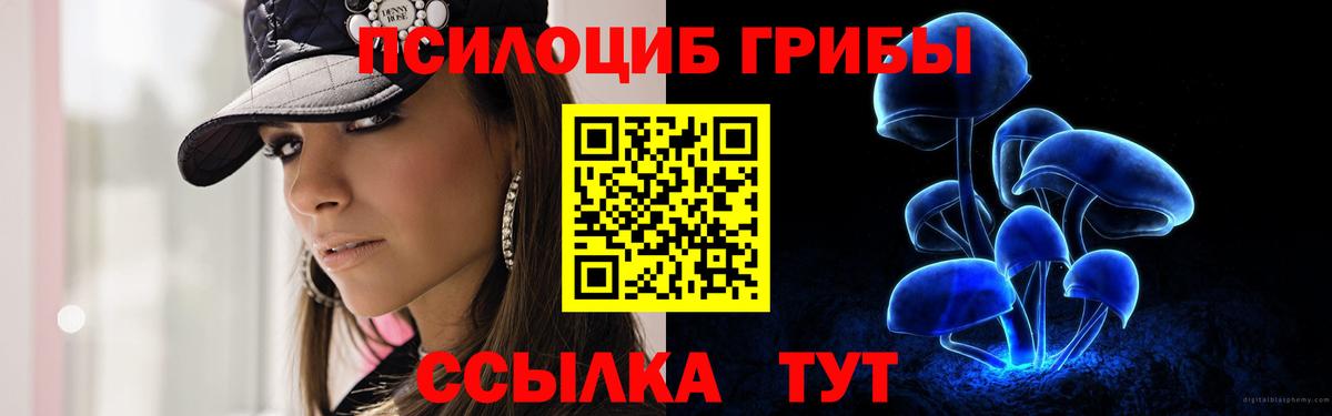 Галлюциногенные грибы мухоморы Долгопрудный